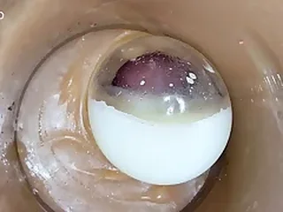 Porn Twink Free 1