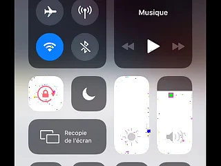 Twerk de puta